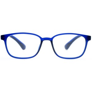 Reading Glasses
