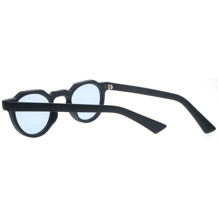DSP385009 Retro Vintage CP Material Sunglasses With Custom Packge (10)
