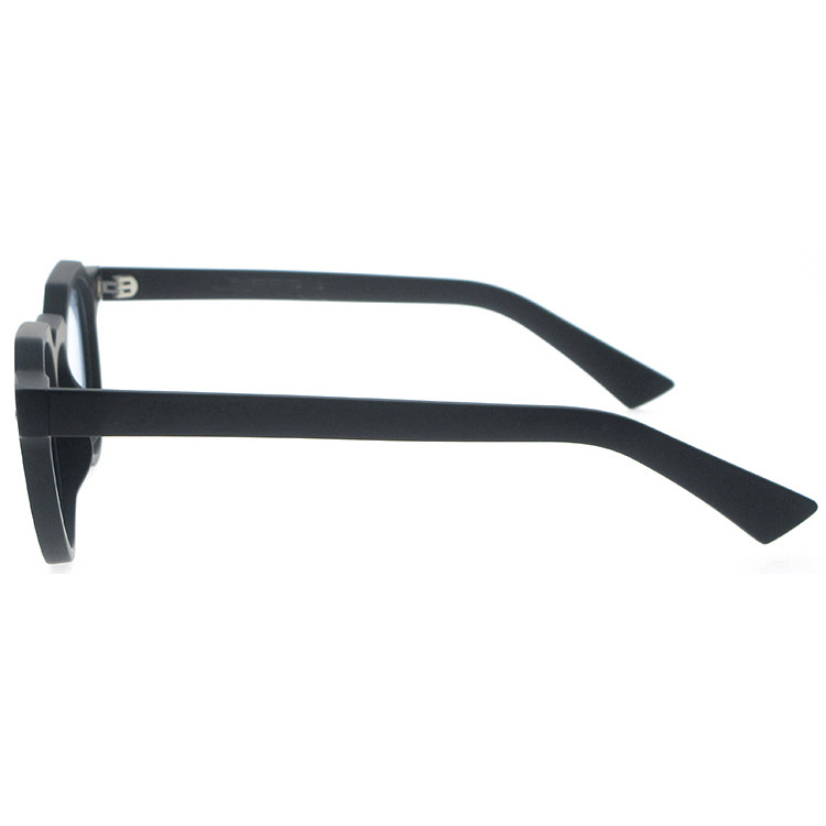 DSP385009 Retro Vintage CP Material Sunglasses With Custom Packge (9)