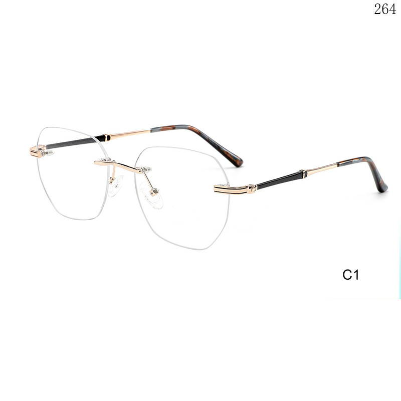 Dachuan Optical 25653 China Supplier Best Sale Rimless Spectacle Frames with Tortoiseshell Color (6)