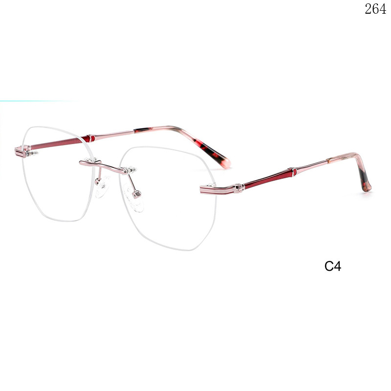 Dachuan Optical 25653 China Supplier Best Sale Rimless Spectacle Frames with Tortoiseshell Color (9)