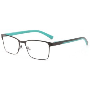 Metal Reading Glasses