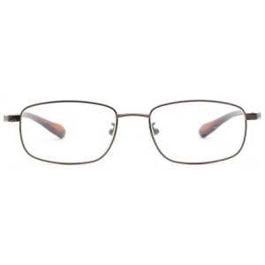 Reading Glasses