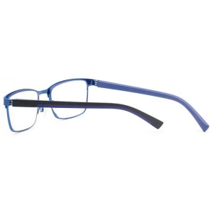 Reading Glasses