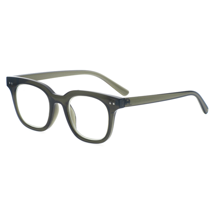 Dachuan Optical DRP102219-1 China Supplier Hot Trending  ( (12)