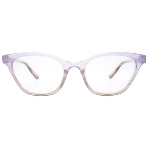 Plastic Reading Glasses