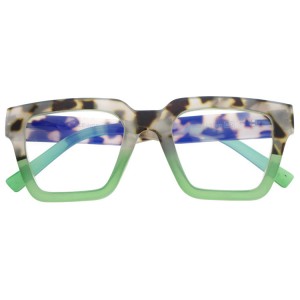 Plastic Reading Glasses