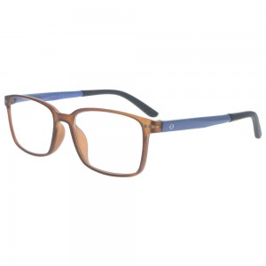 Reading Glasses