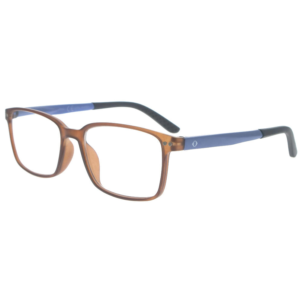Dachuan Optical DRP127130 China Supplier Classic Design Reading Glasses With Double Color (11)