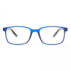 Reading Glasses