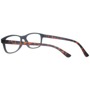 Reading Glasses