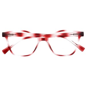 Reading Glasses