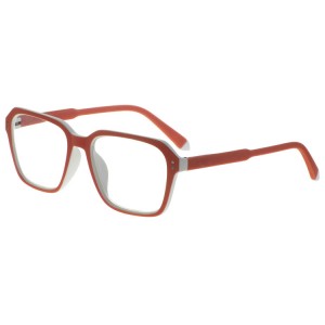 Plastic Reading Glasses