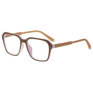 Plastic Reading Glasses