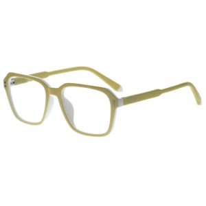 Plastic Reading Glasses