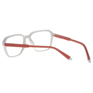 Plastic Reading Glasses