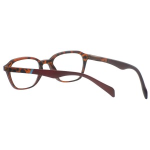 Plastic Reading Glasses