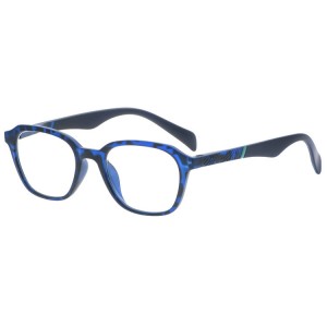 Plastic Reading Glasses