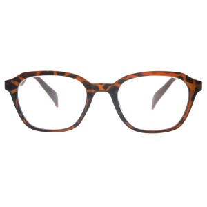 Plastic Reading Glasses