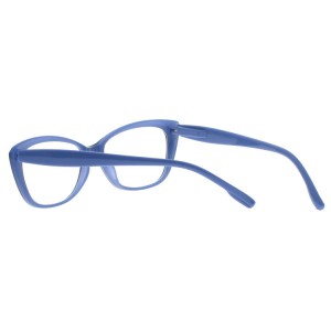 Reading Glasses