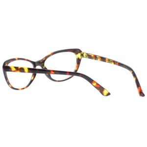 Reading Glasses