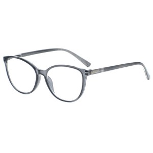 Plastic Reading Glasses