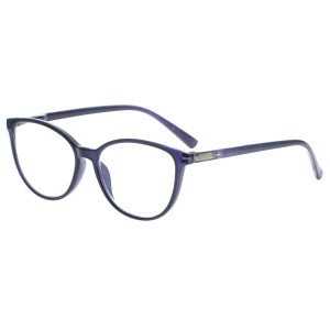 Plastic Reading Glasses