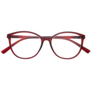 Plastic Reading Glasses