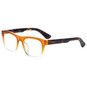 Plastic Reading Glasses