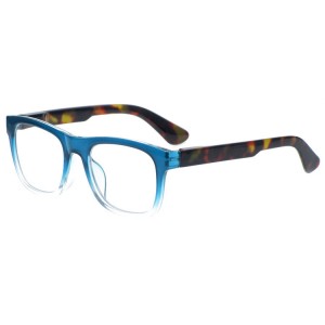 Plastic Reading Glasses