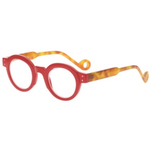 Plastic Reading Glasses