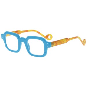 Plastic Reading Glasses