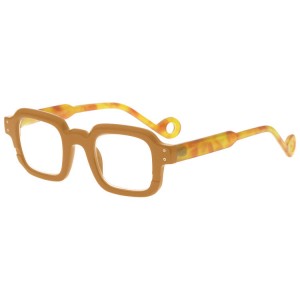 Plastic Reading Glasses