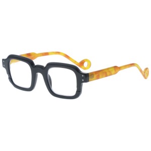 Plastic Reading Glasses