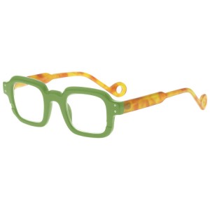 Plastic Reading Glasses