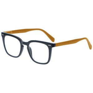 Plastic Reading Glasses