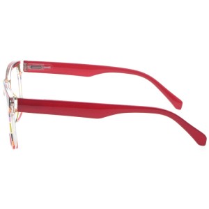 Plastic Reading Glasses