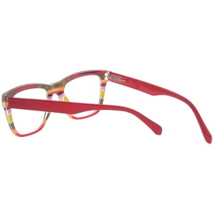 Plastic Reading Glasses