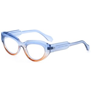 Plastic Reading Glasses