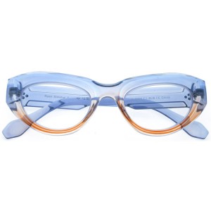 Reading Glasses