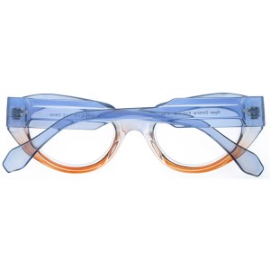 Plastic Reading Glasses