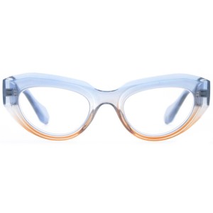 Plastic Reading Glasses