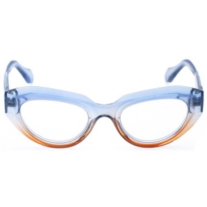 Plastic Reading Glasses