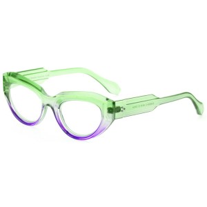 Plastic Reading Glasses