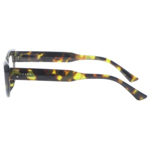 Plastic Reading Glasses