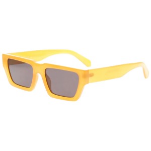 Plastic Sunglasses