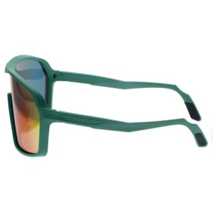 Plastic Sunglasses