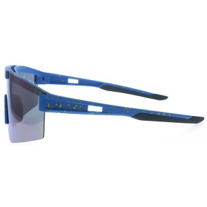 Plastic Sunglasses