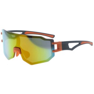 Pastic Sports Sunglasses