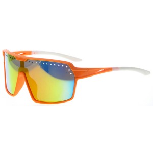 Pastic Sports Sunglasses